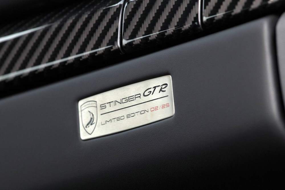 Stinger GTR Porsche 911 Plaque