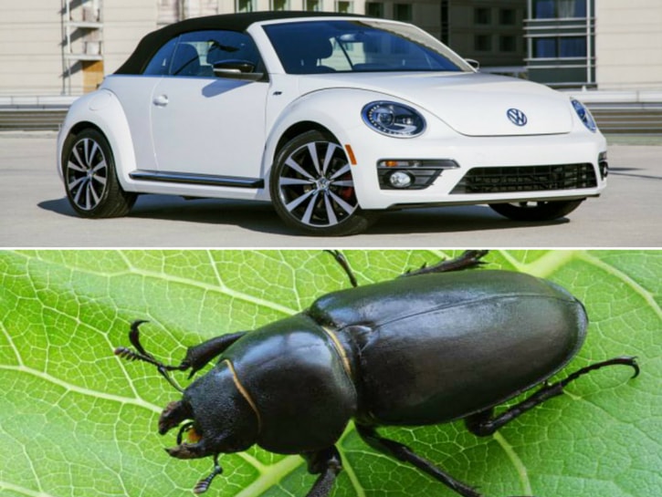 #14. Volkswagen Beetle