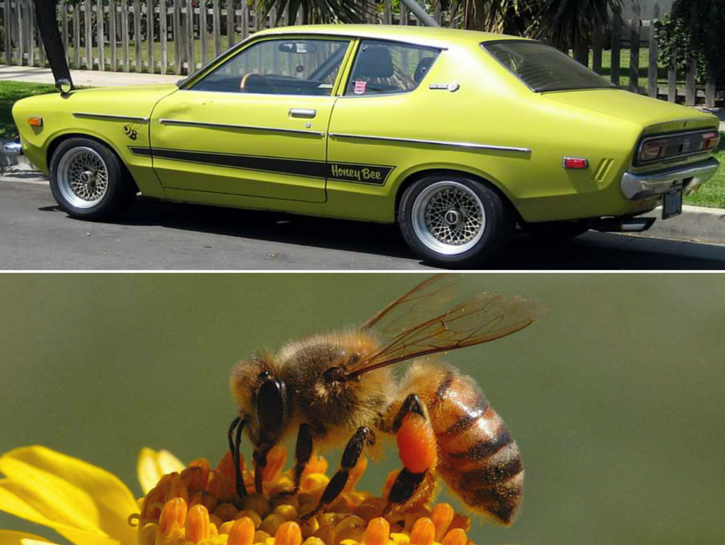 #3. Datsun Honey Bee
