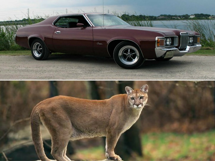 #7. Mercury Cougar