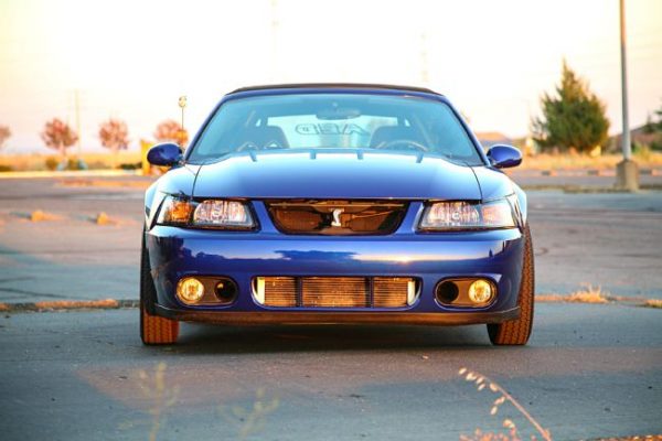 2003-ford-mustang-terminator-cobra-sonic-blue-43 – Autowise