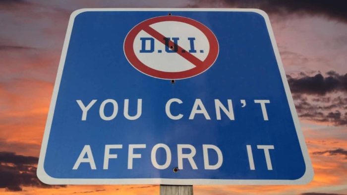 DUI - You Can't Afford It Sign