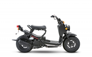 Honda Powersports - Ruckus