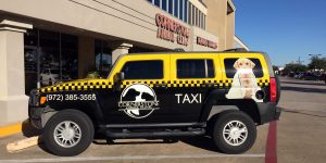 Pet Taxi Service Driving Jobs