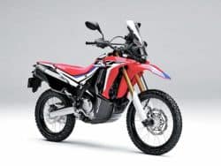 Dual Sport Motorcycles - Honda CRF250L Rally