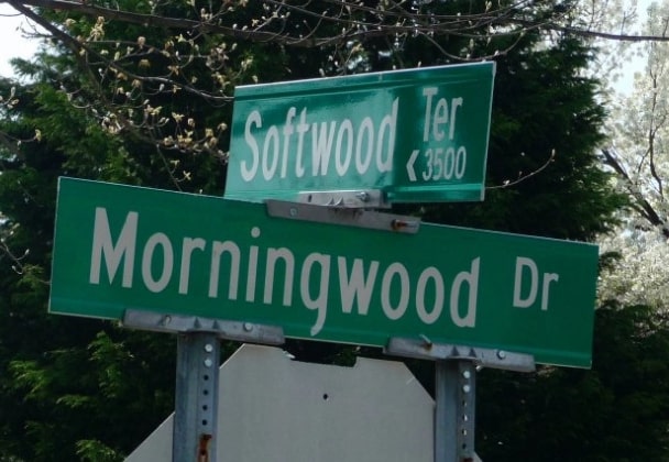 Softwood or Morningwood?