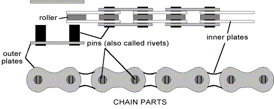 Chain Anatomy