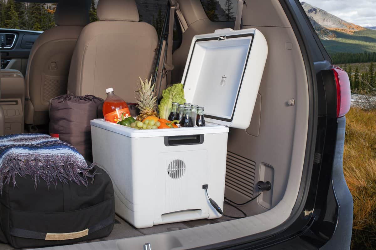 10 Best Car Cooler of 2019 Reviews and Buying Guide